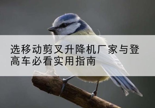 伊宁电动升降机厂家-选移动剪叉升降机厂家与登高车必看实用指南